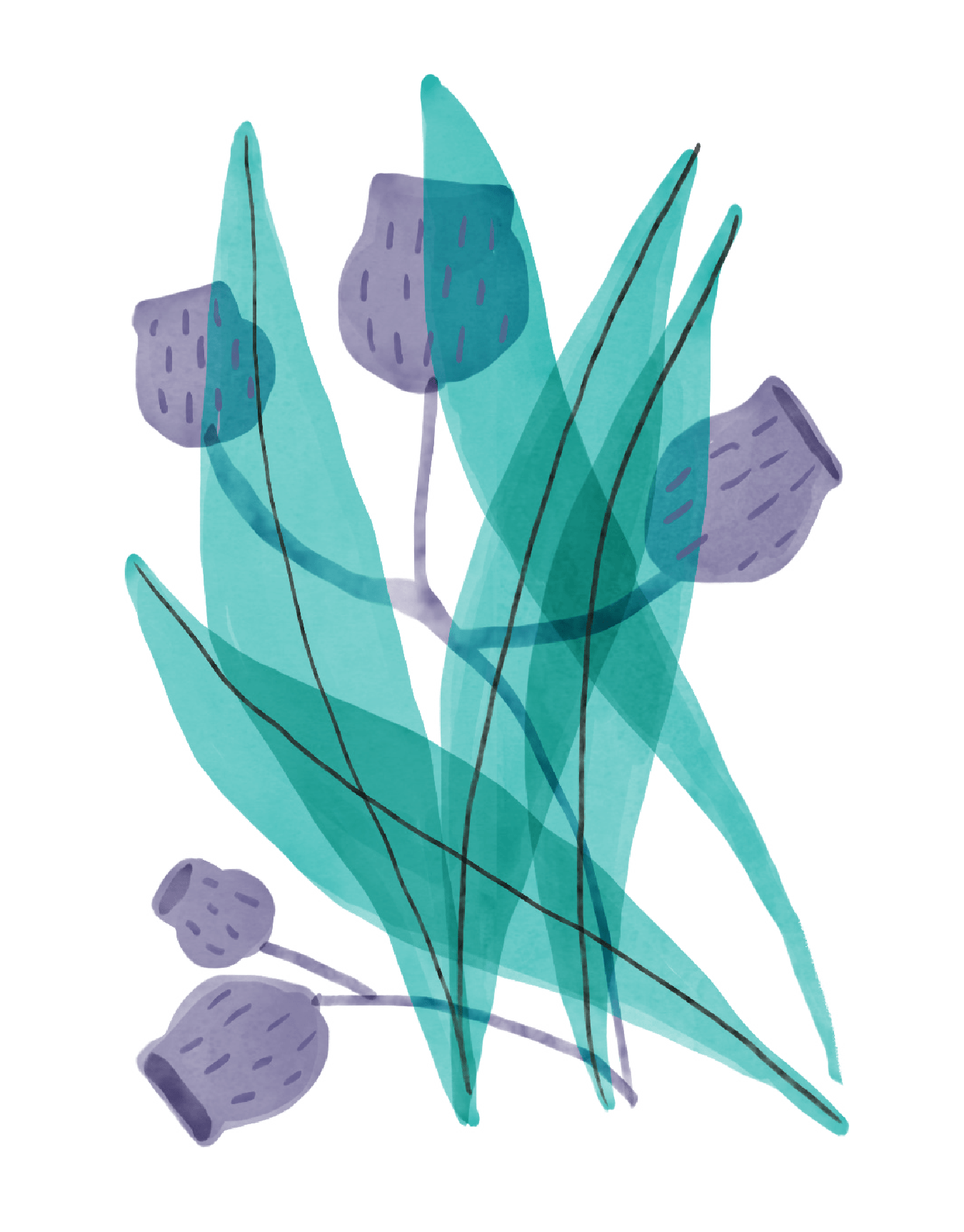 Lovely Flowers