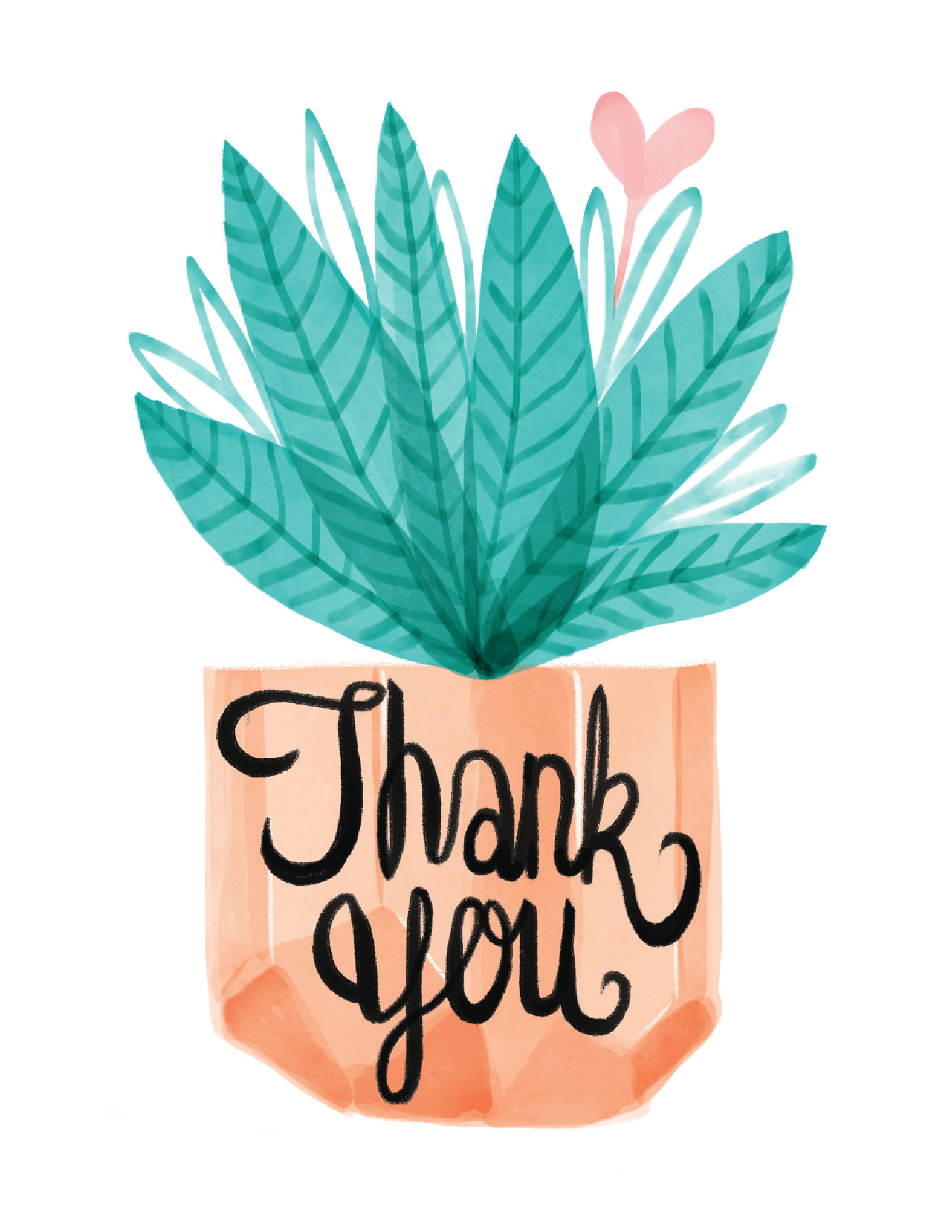 Thank You Plant