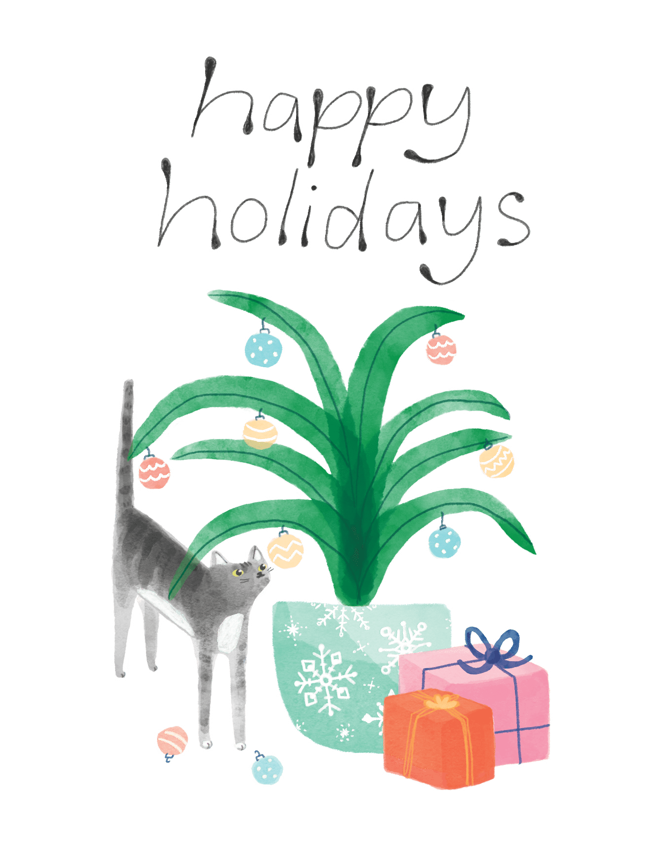 Holiday Plants