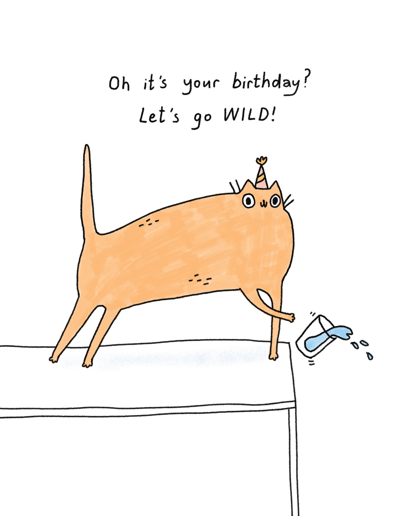 Let's Go Wild Birthday Cat