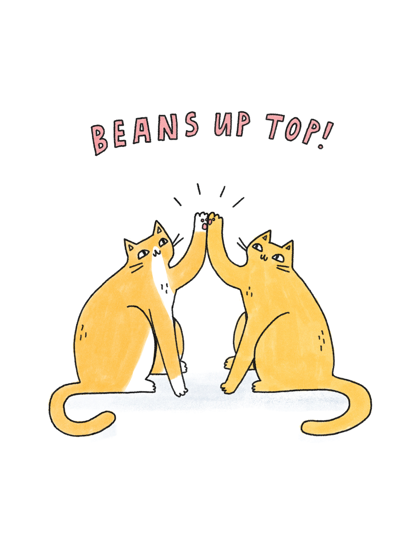 Cats High five