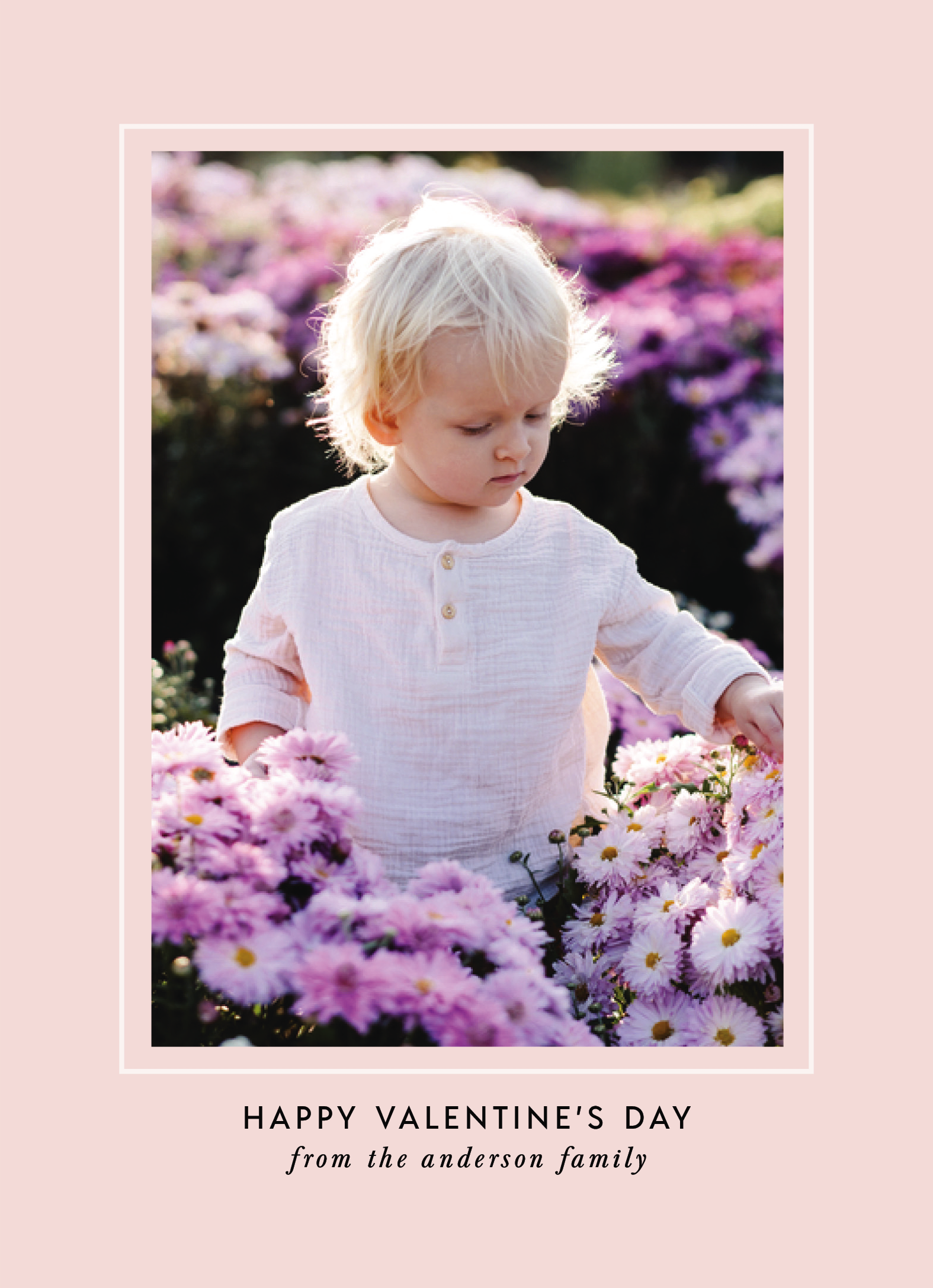 Pink Classic Photo