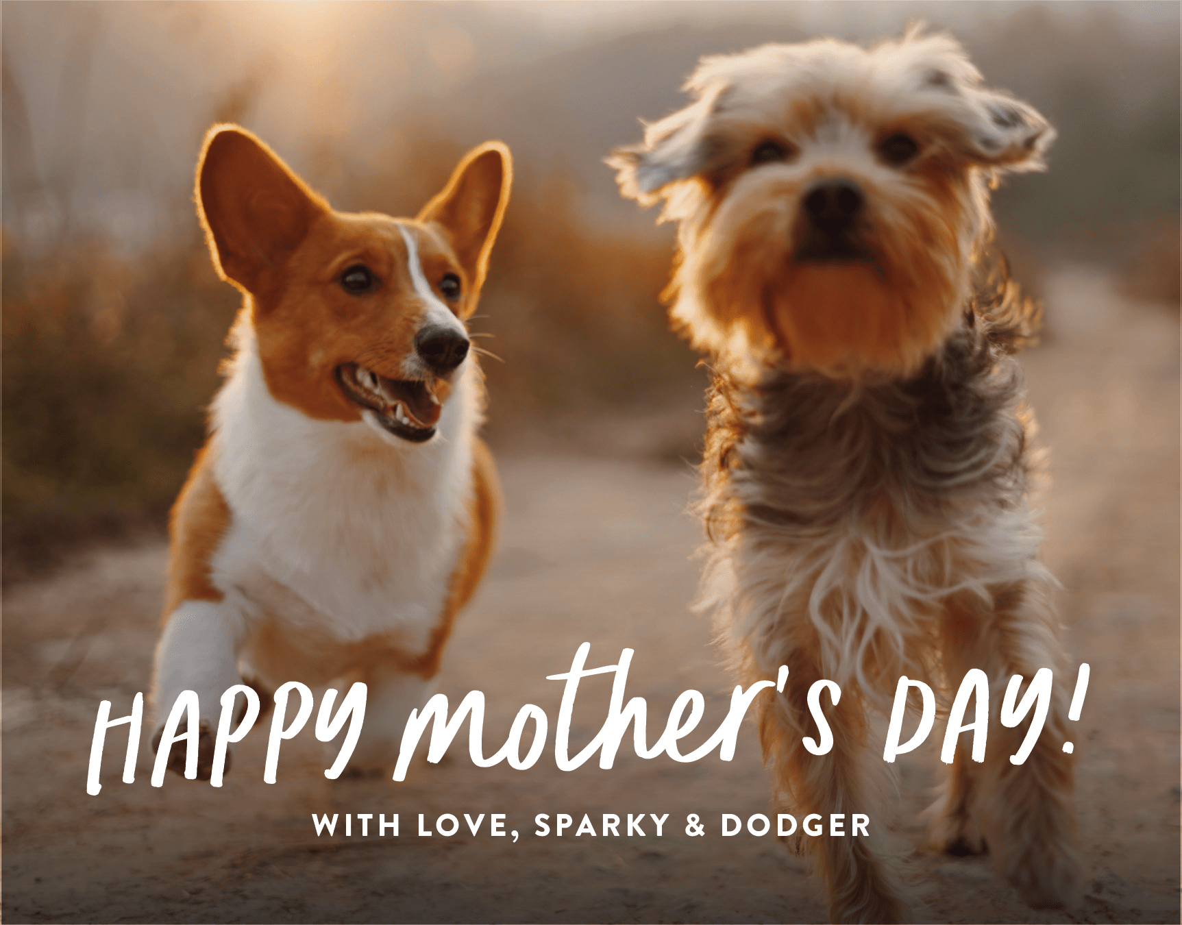 Love For Mom
