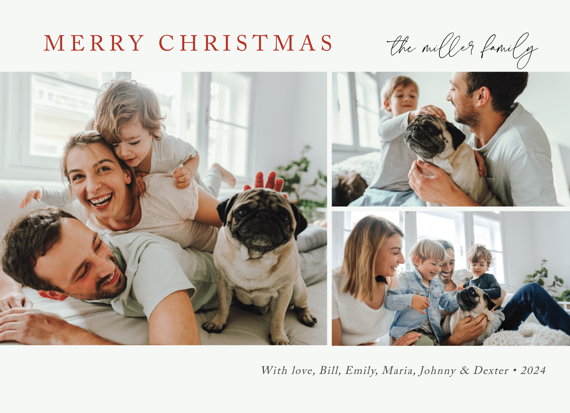 Family Year