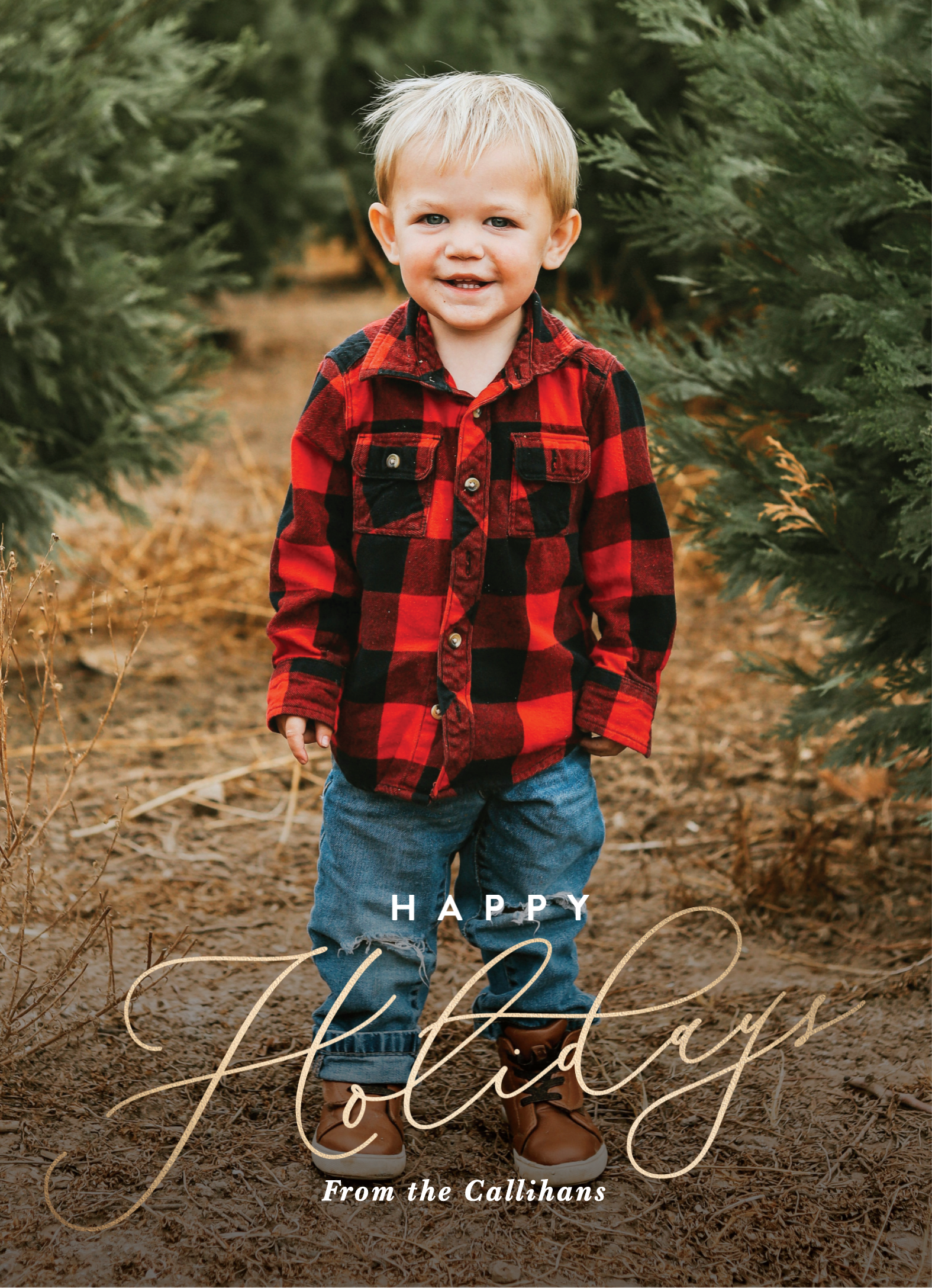 Full Frame Holidays