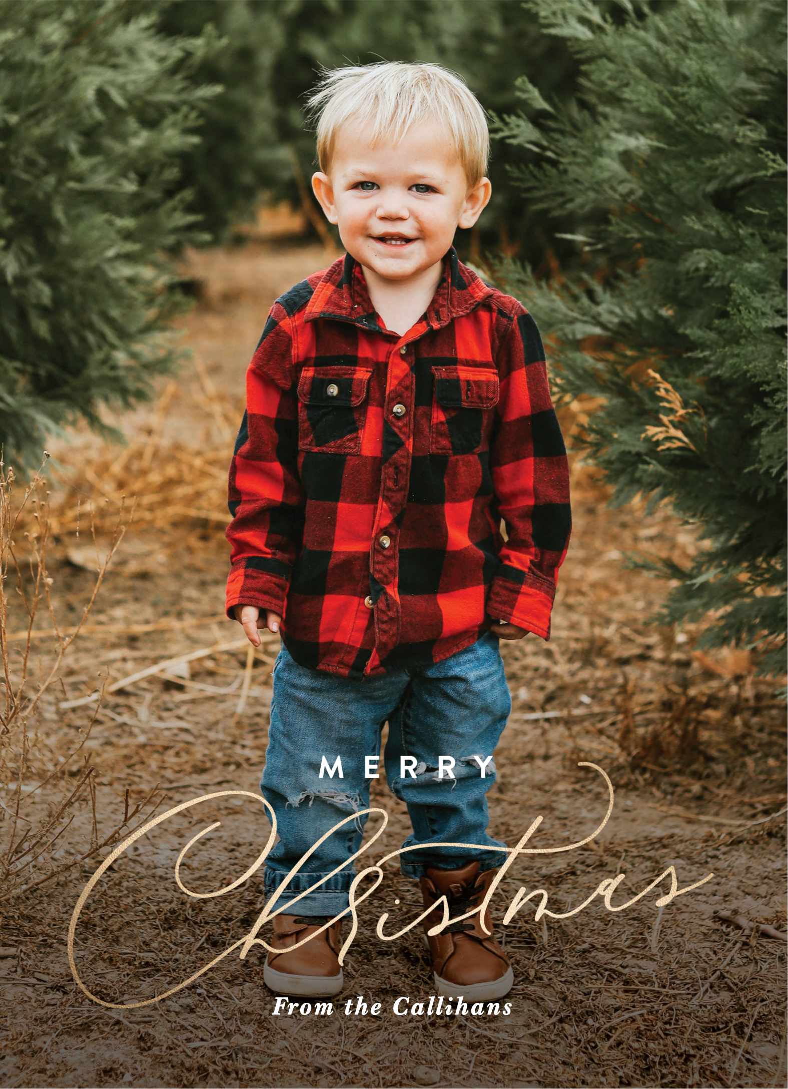 Full Frame Christmas
