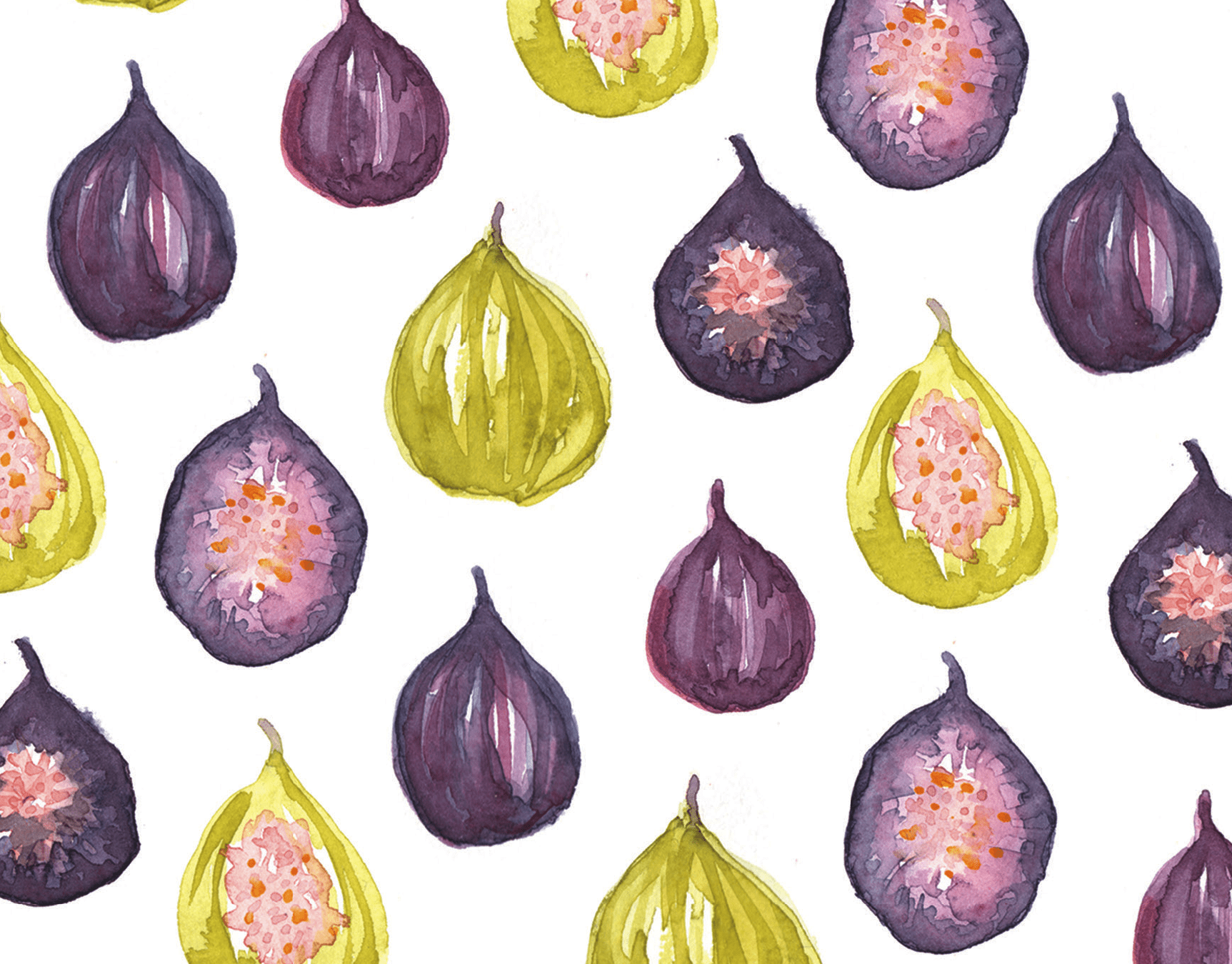 Figs Watercolor