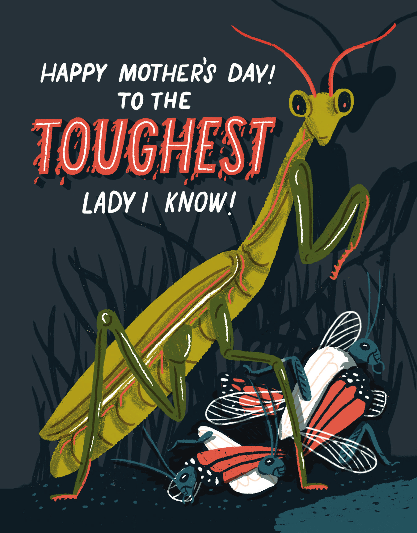 Toughest Lady