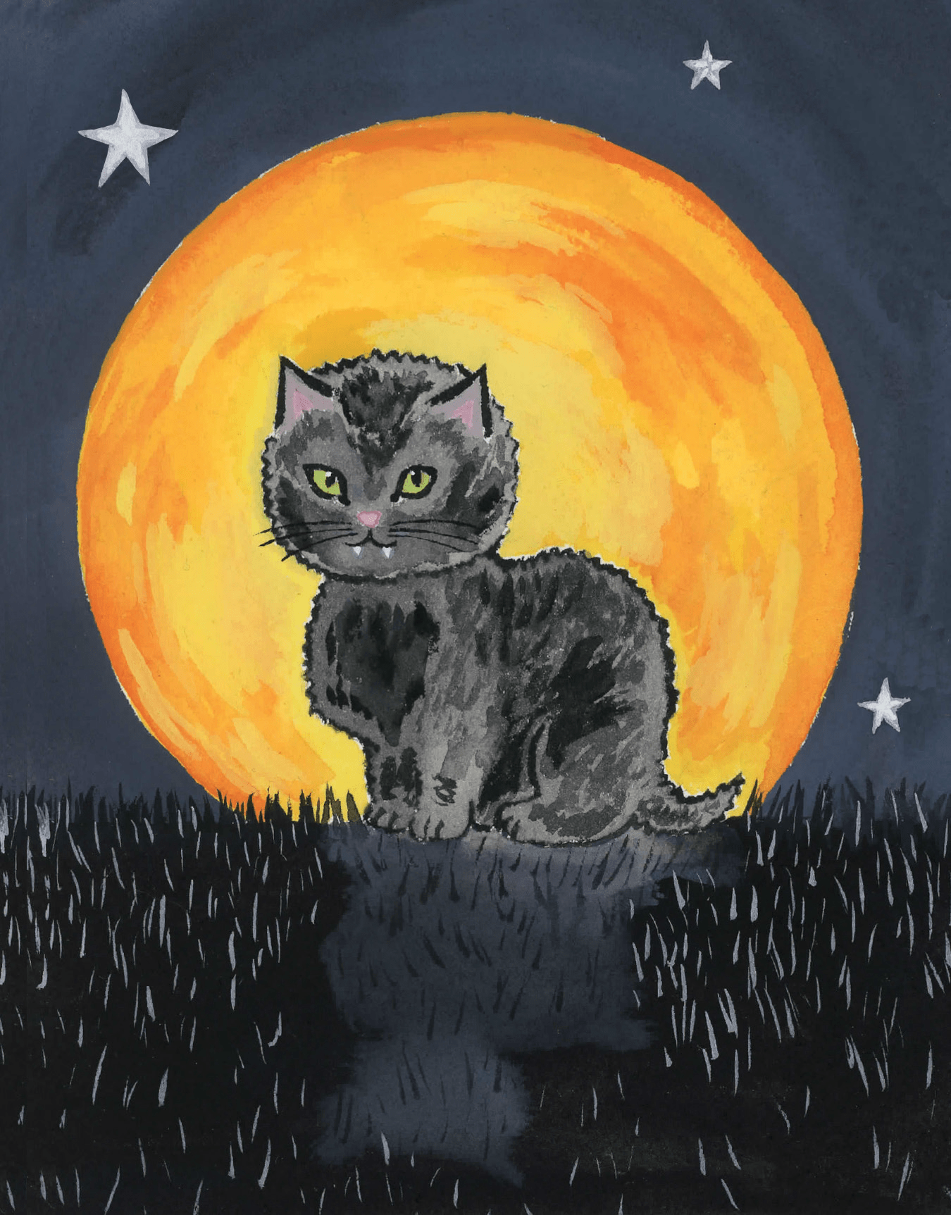 Shy Black Cat