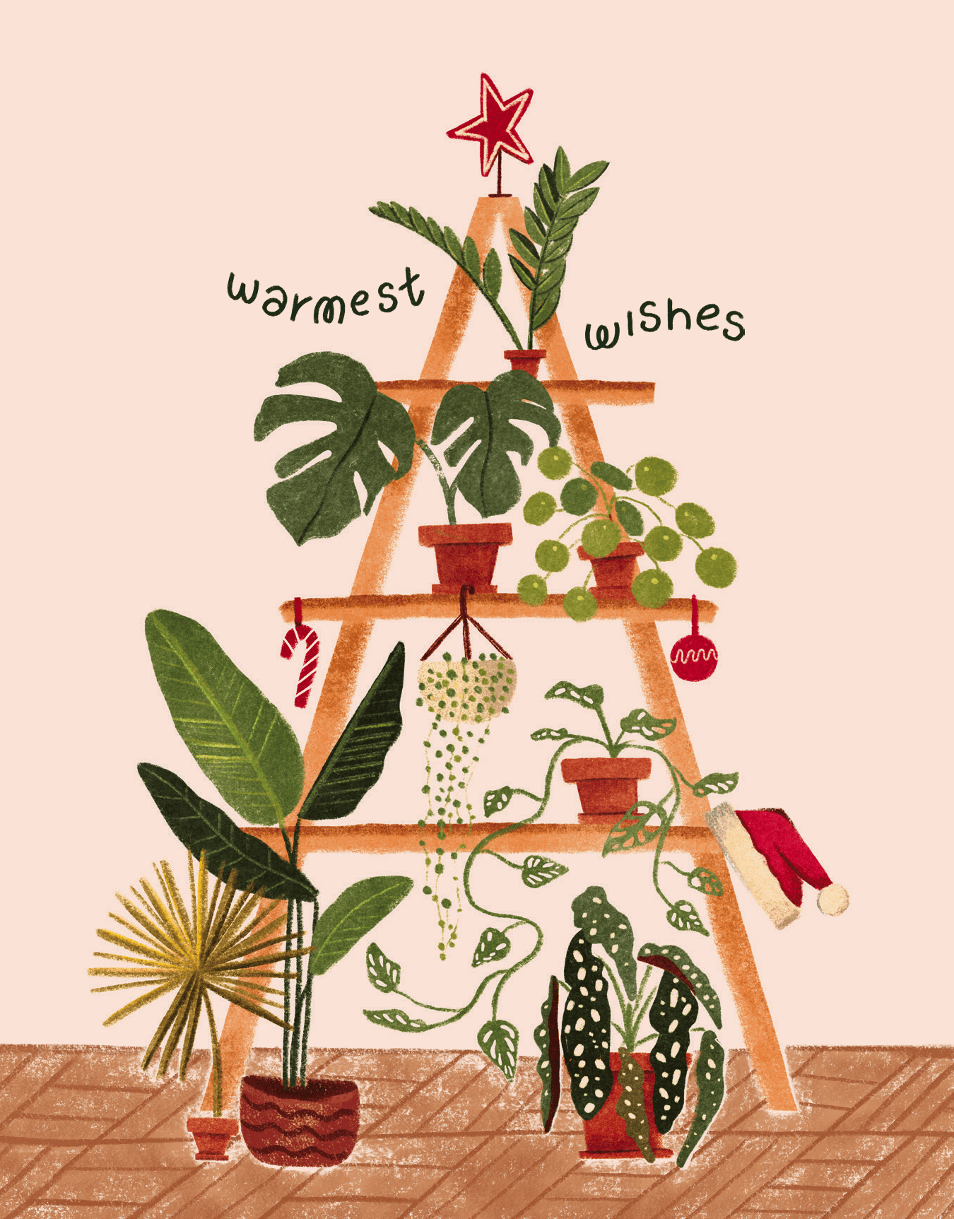 Merry Houseplants