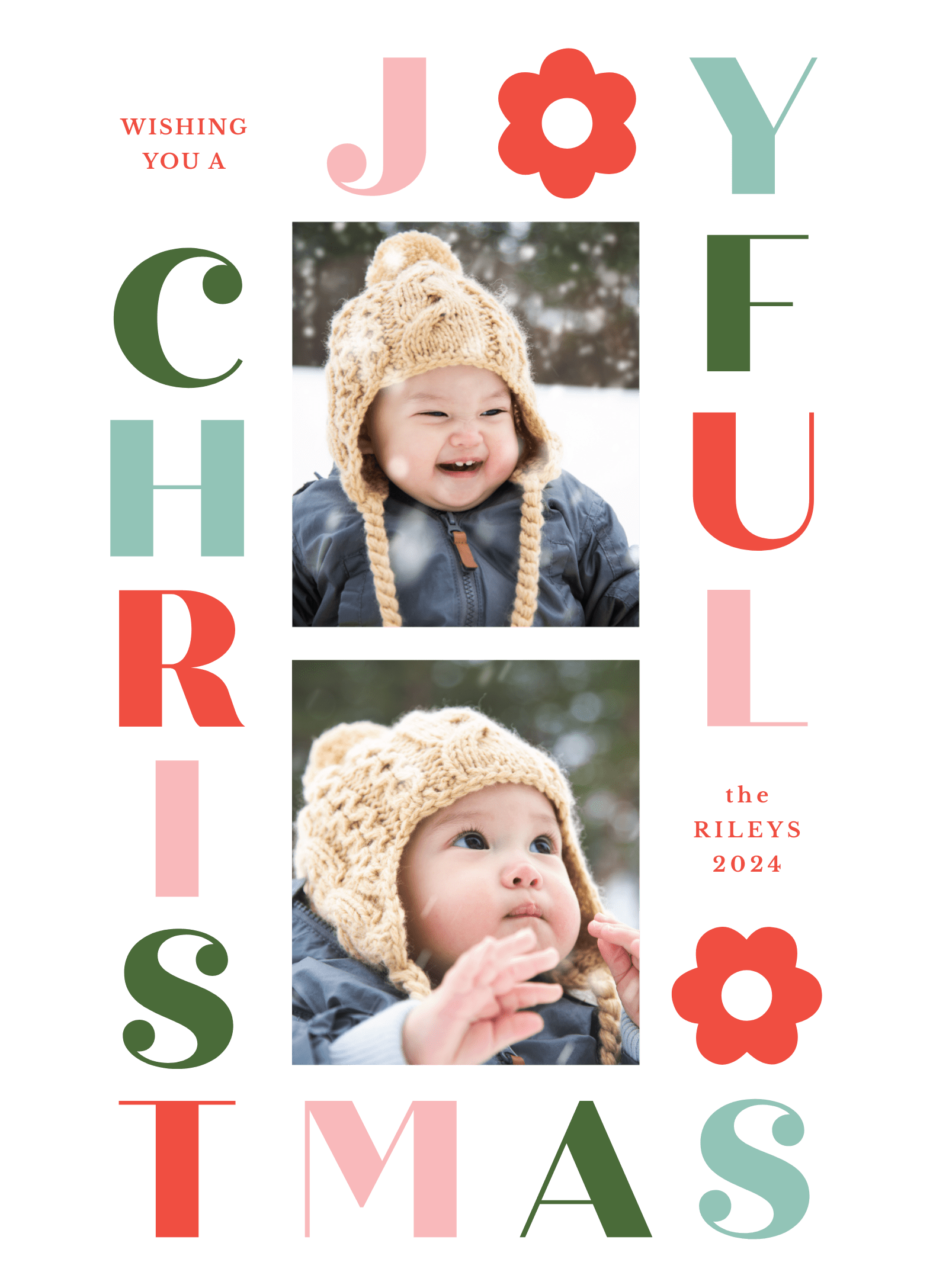 Joyful Christmas Flowers