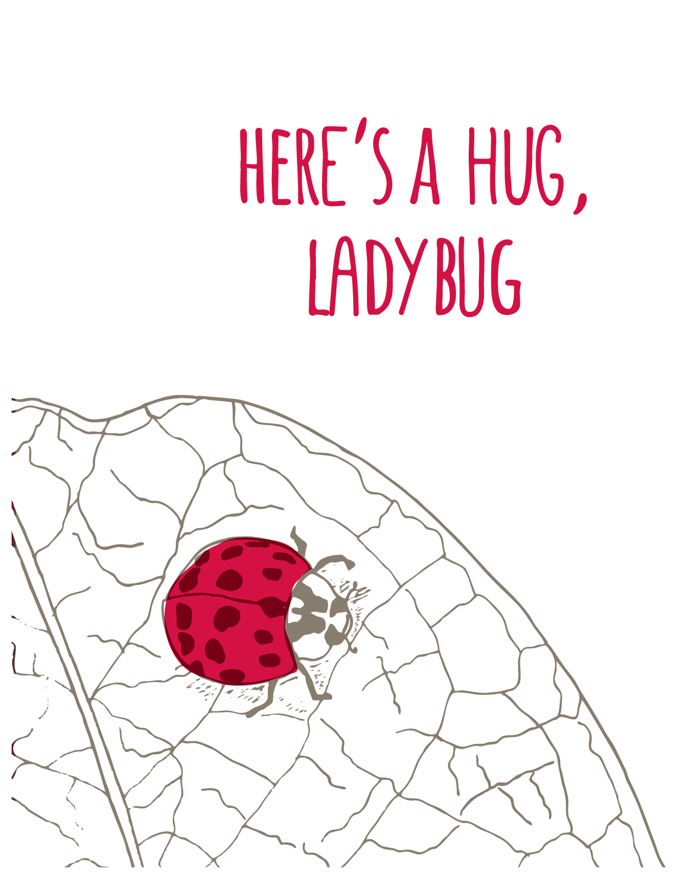 Ladybug
