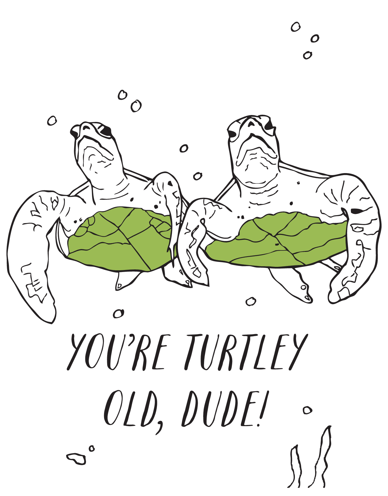 Turtley Old