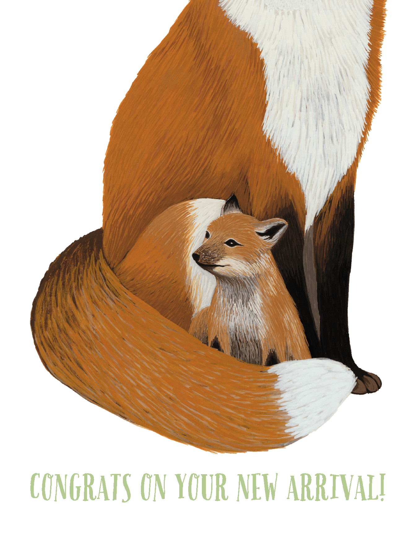Fox New Arrival