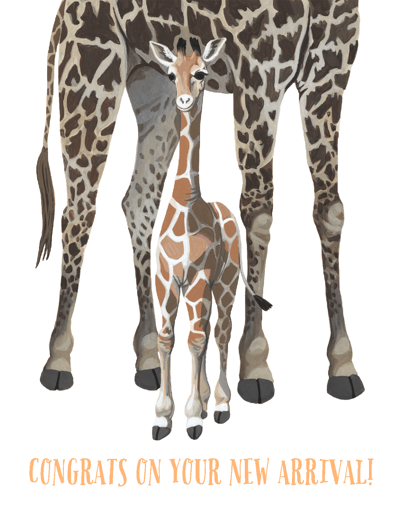 Giraffe New Arrival