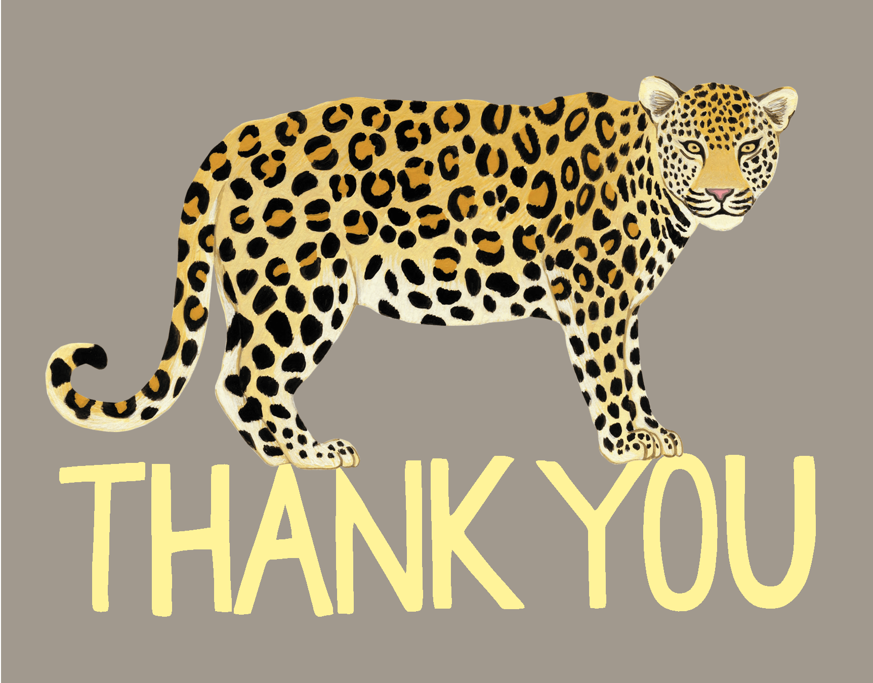 Leopard