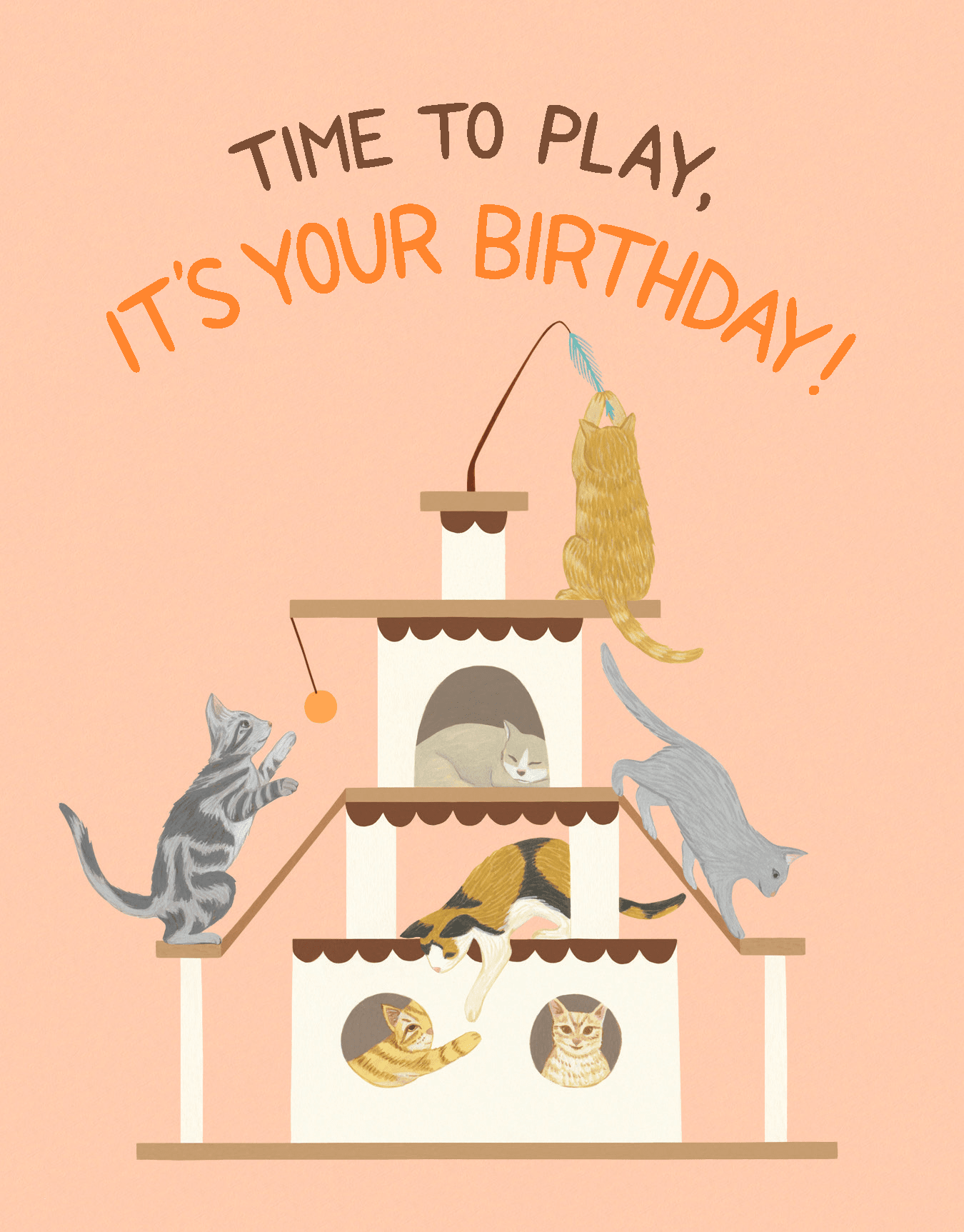 Playful Cats