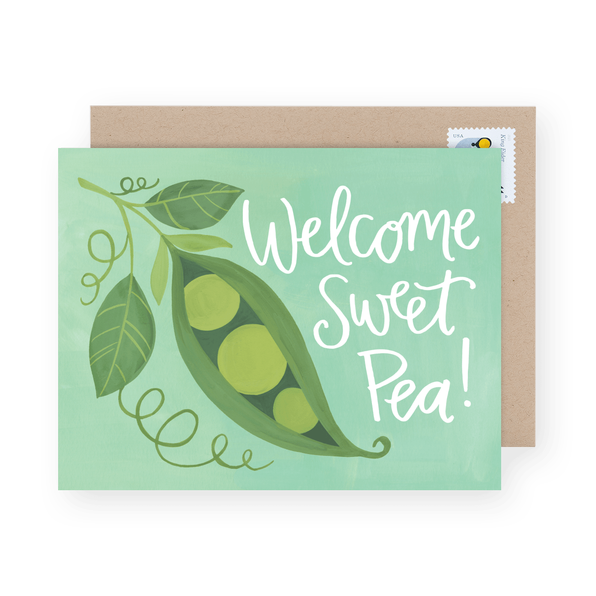 Welcome Sweet Pea