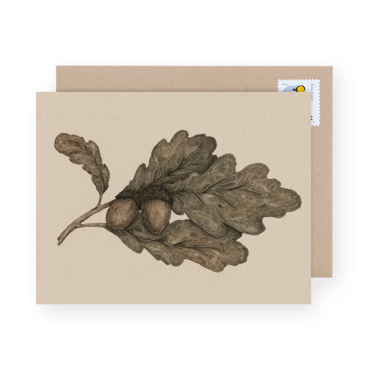 Autumn Greetings