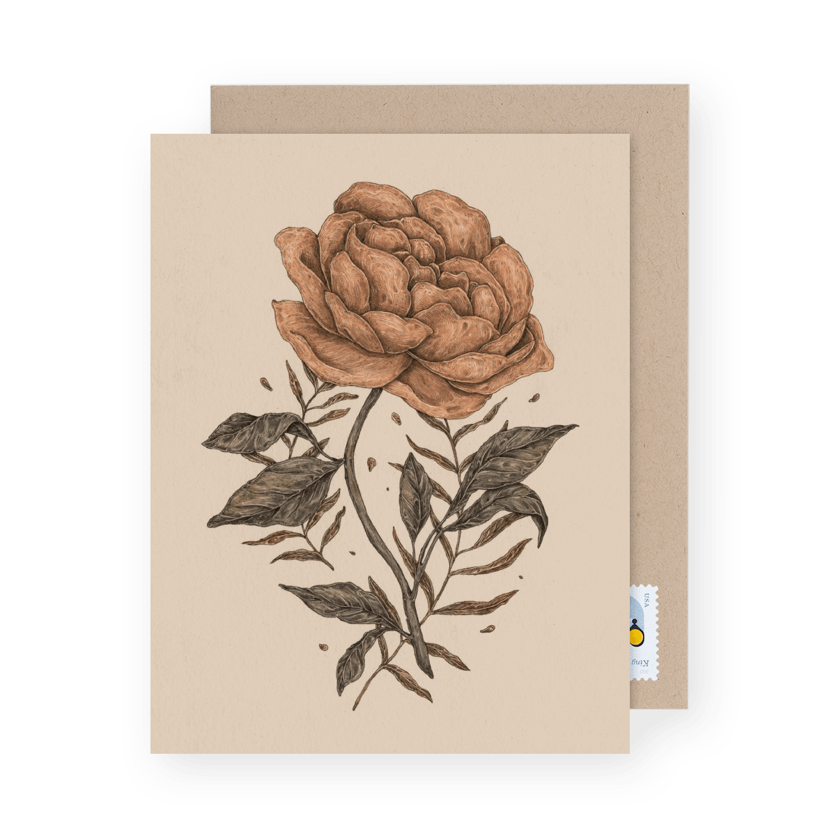 Peony And Ferns