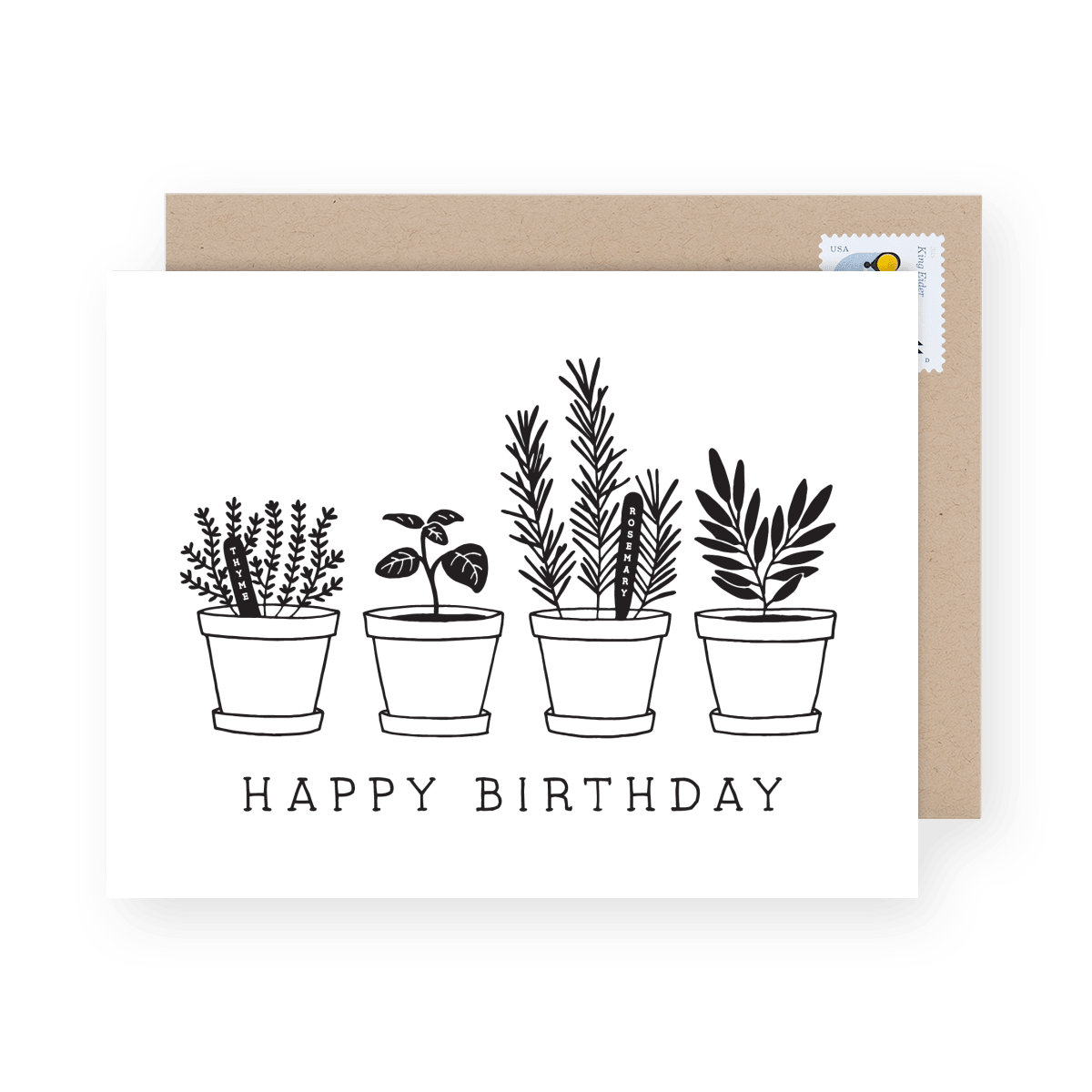 Potted Plants