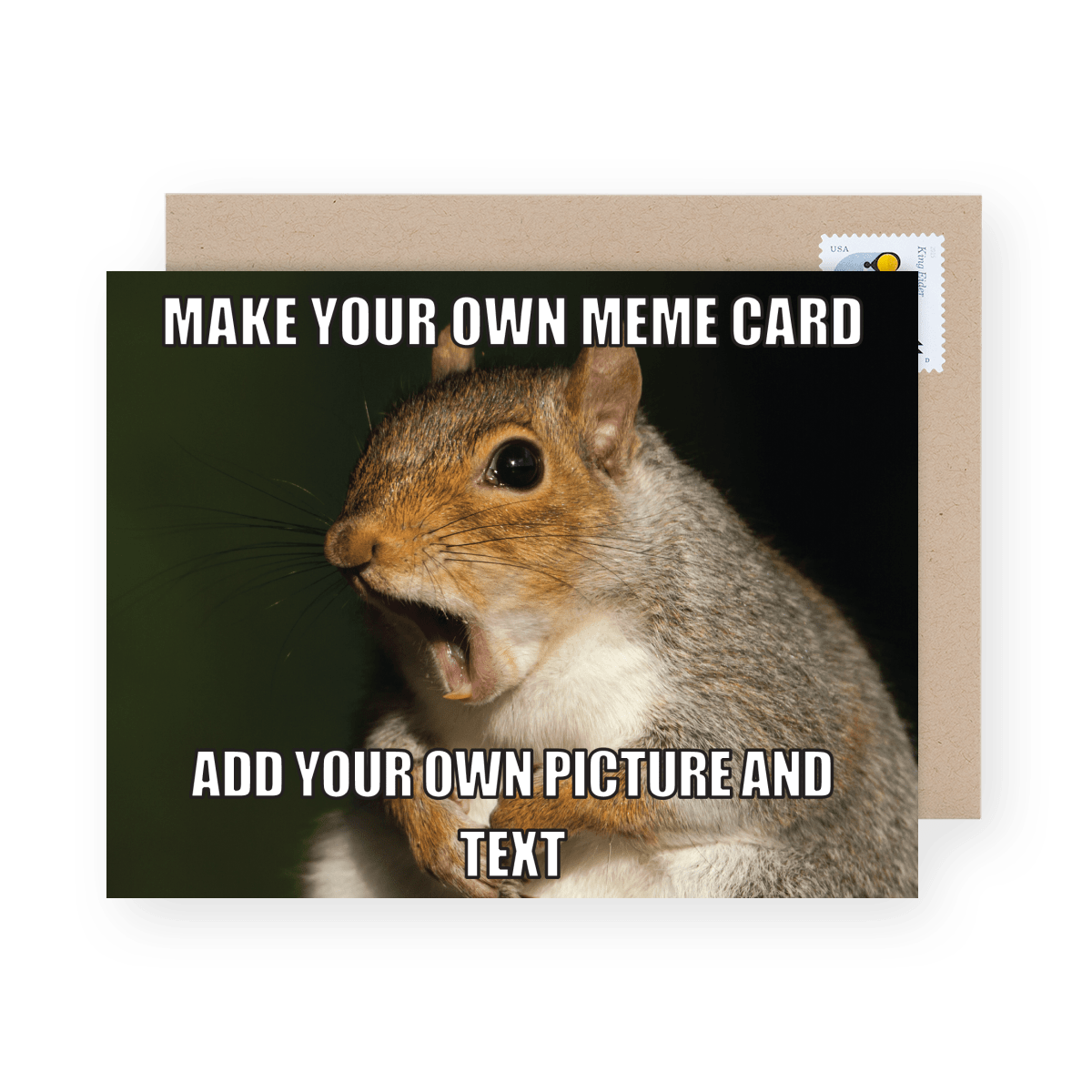 Create Your Own Meme