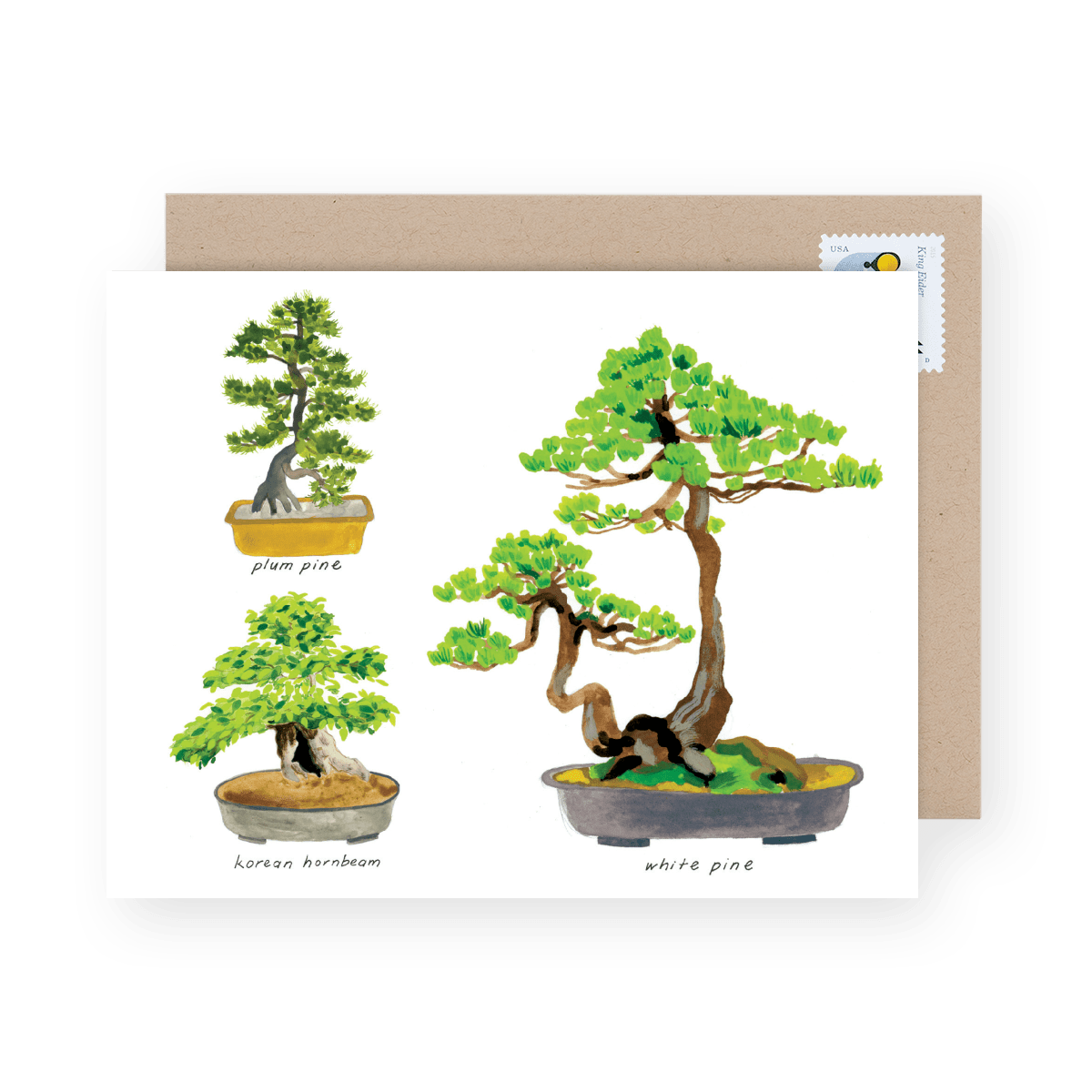 Cute Bonsai