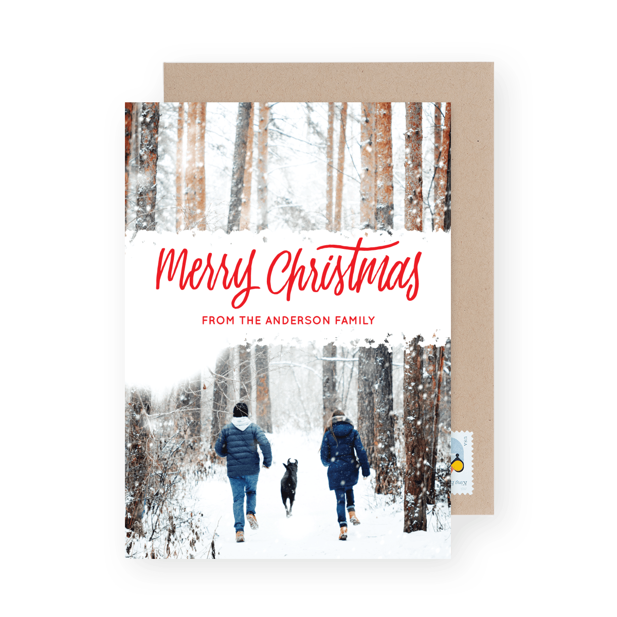 Snowy Overlay