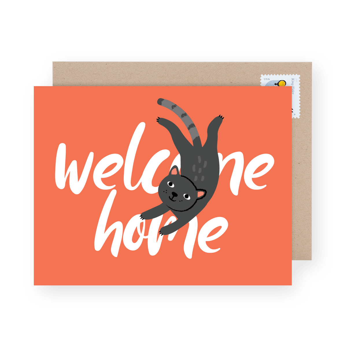 Welcome Home Cat