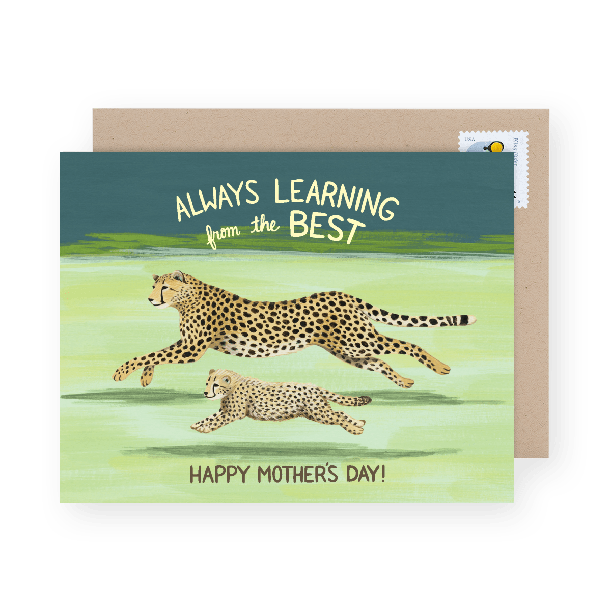 Cheetah Mom