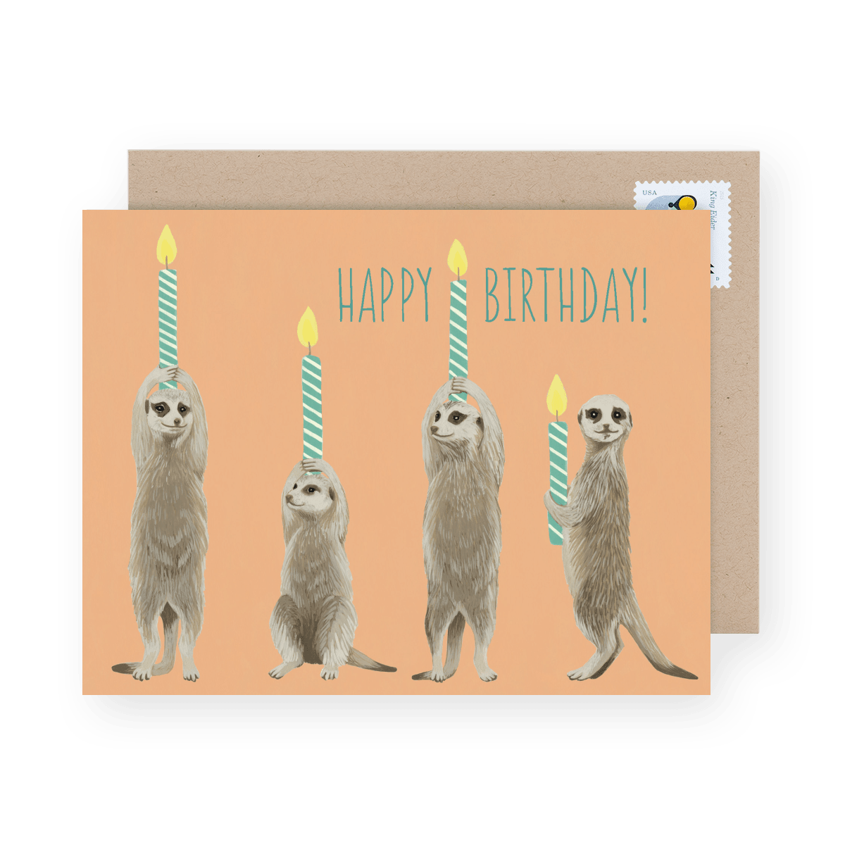Meerkat Birthday