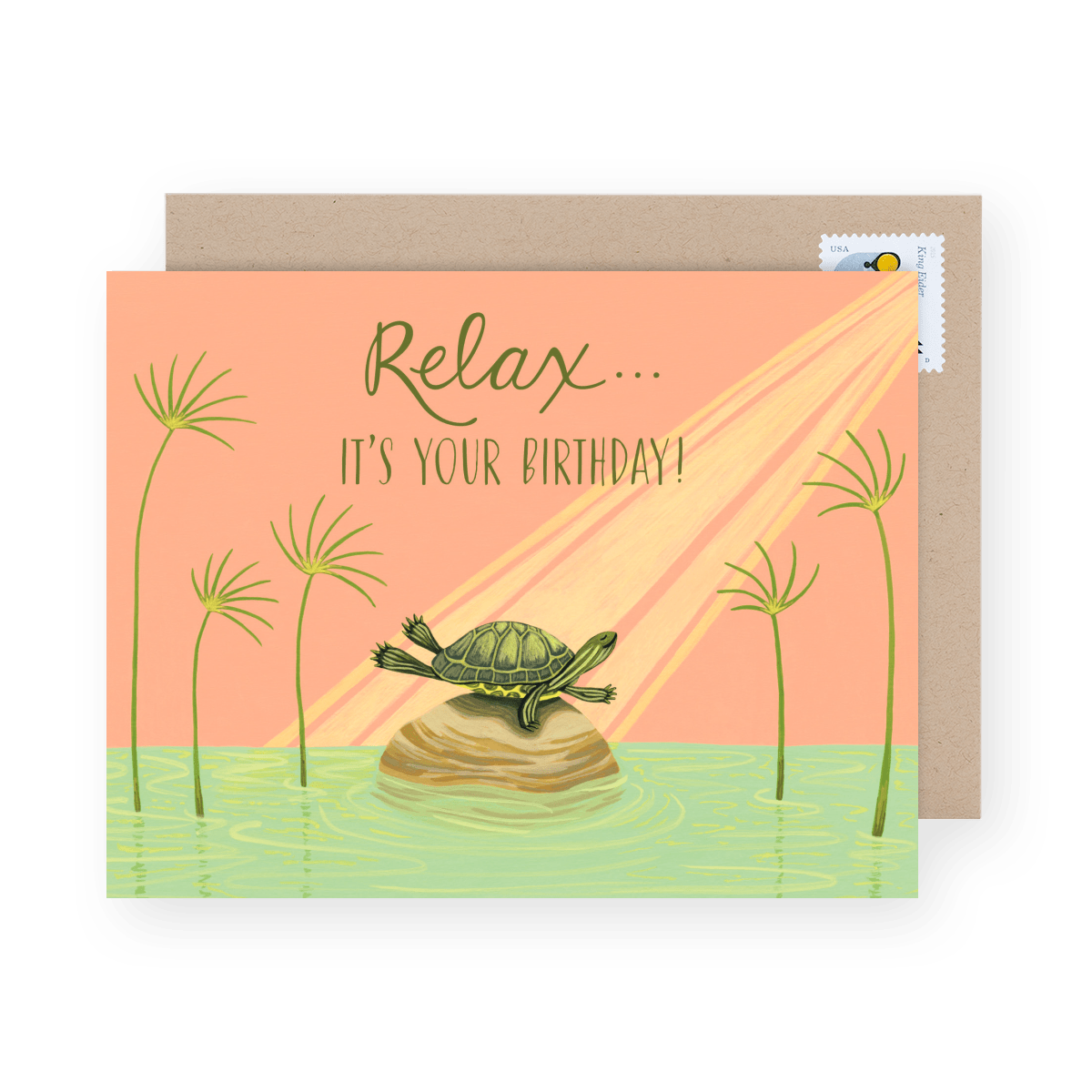 Relaxing Turtle 