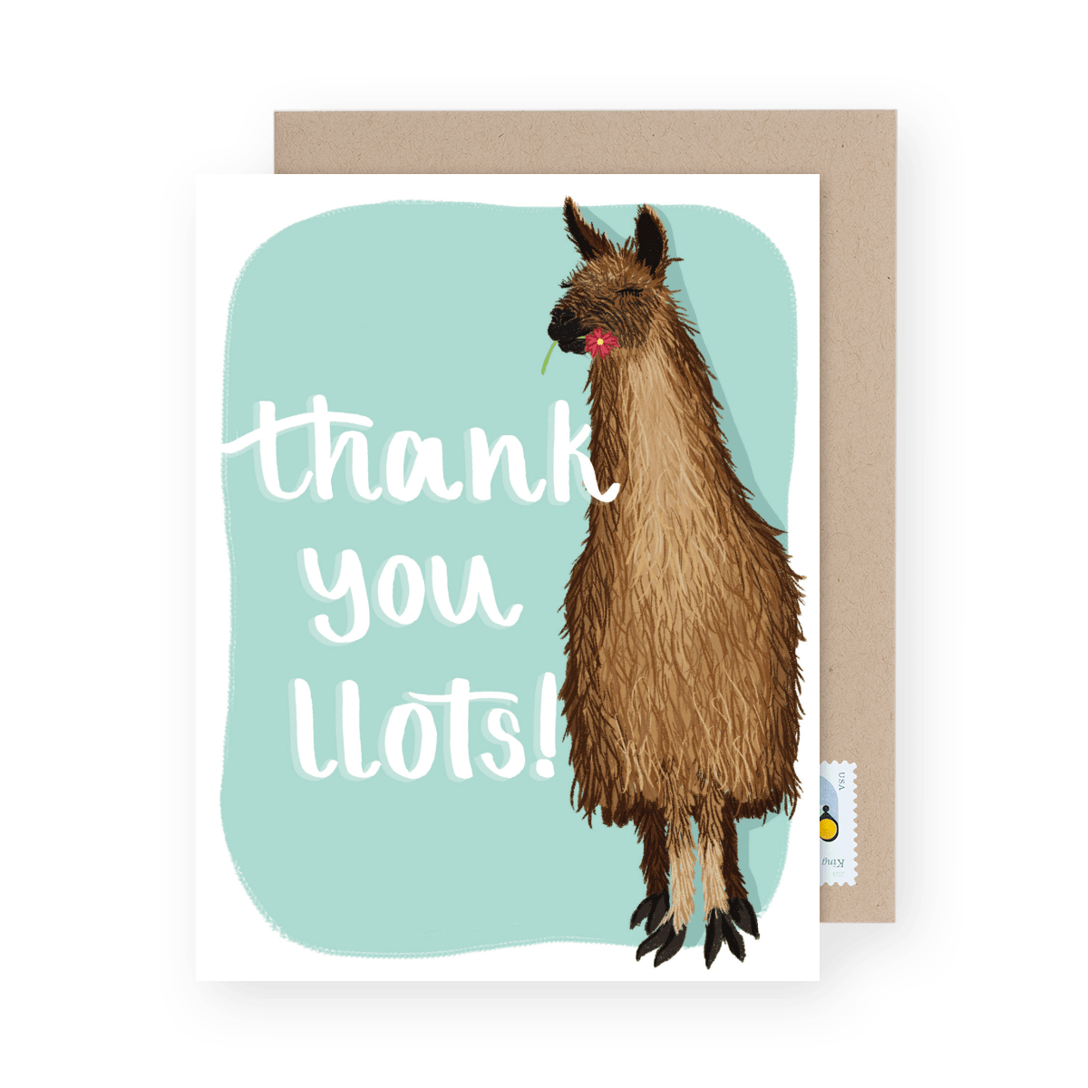 Thank You Llama
