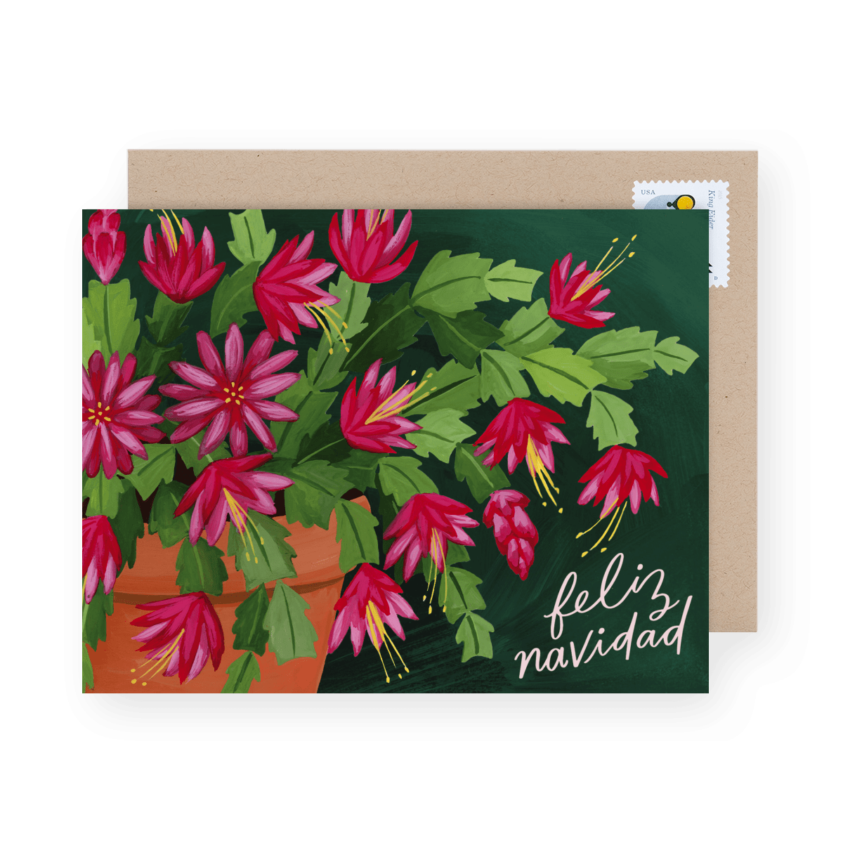 Christmas Cactus