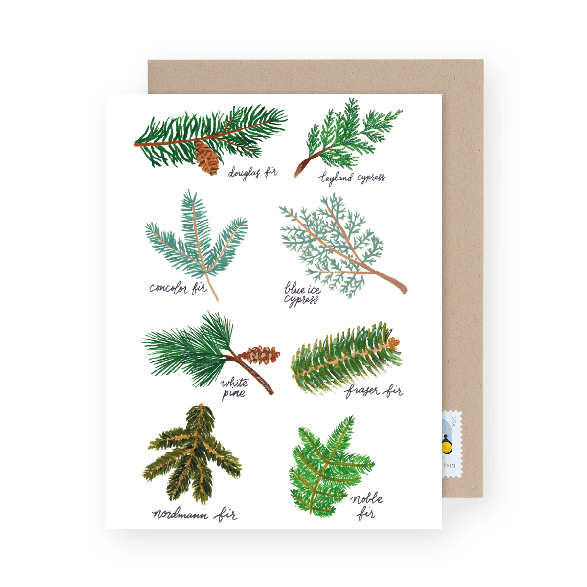 Christmas Tree Branches
