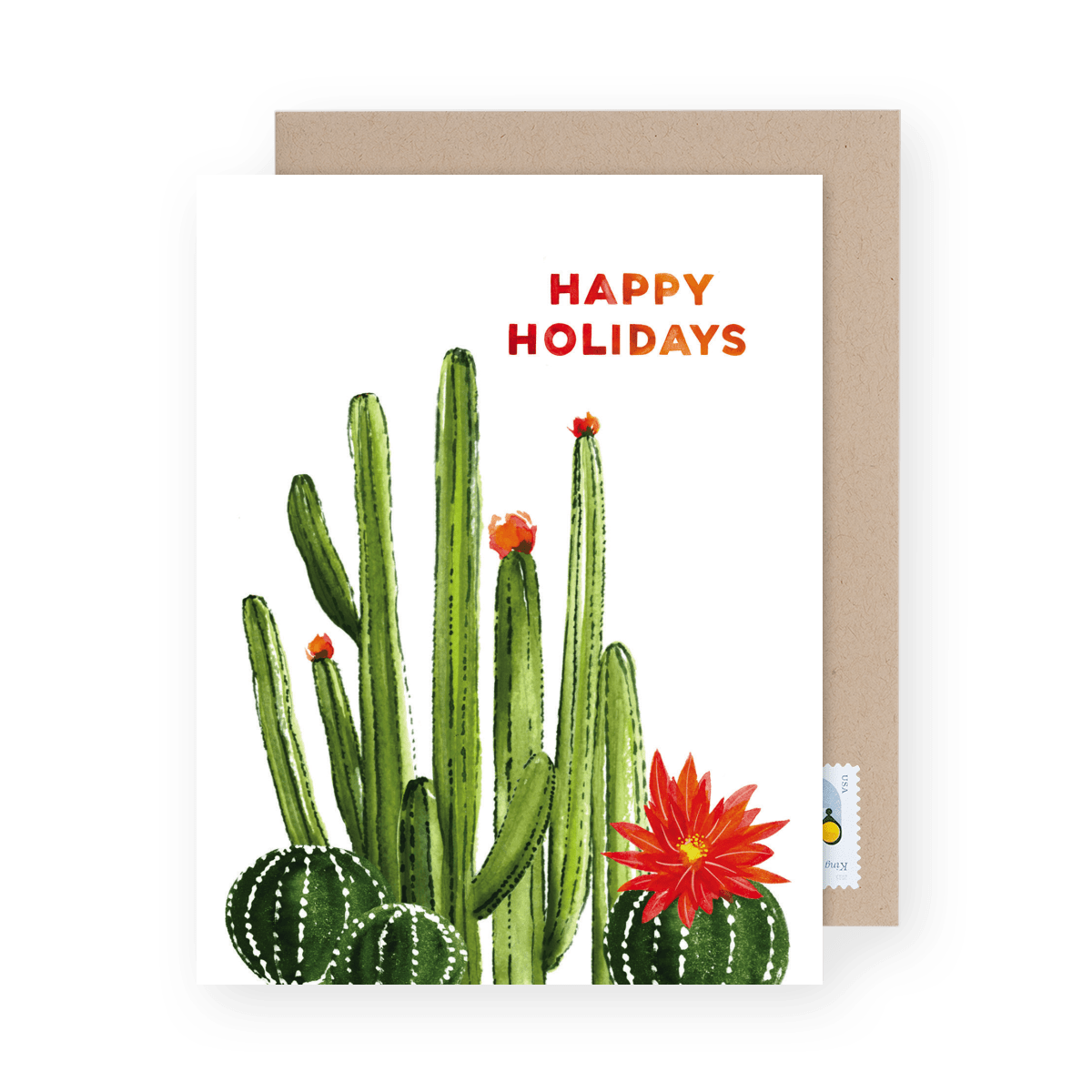 Blooming Cactus Holidays