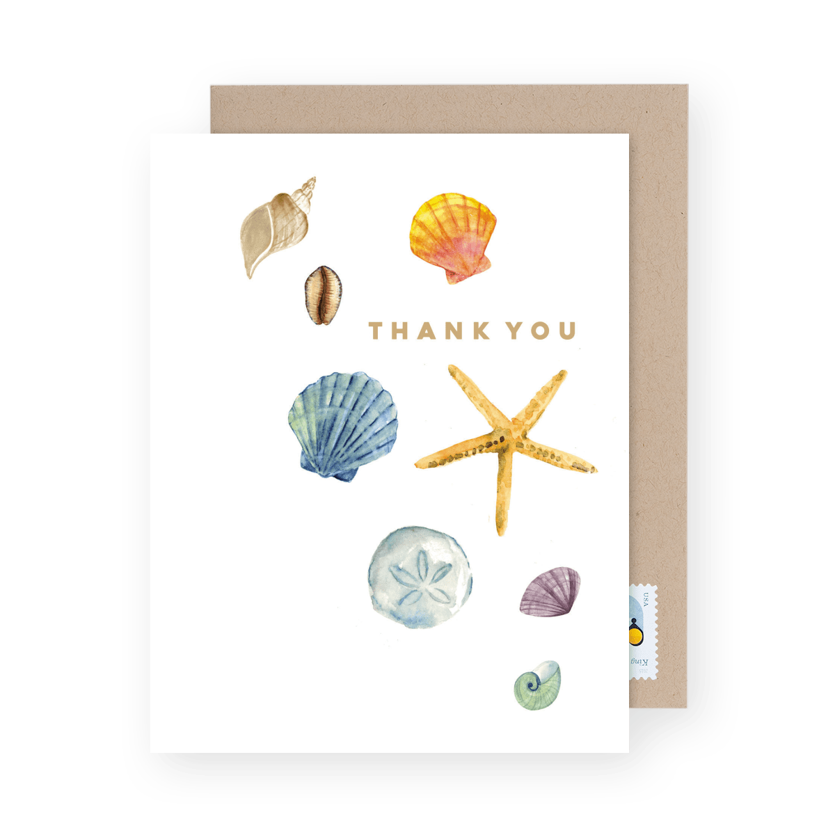 Sea Shells Thank You