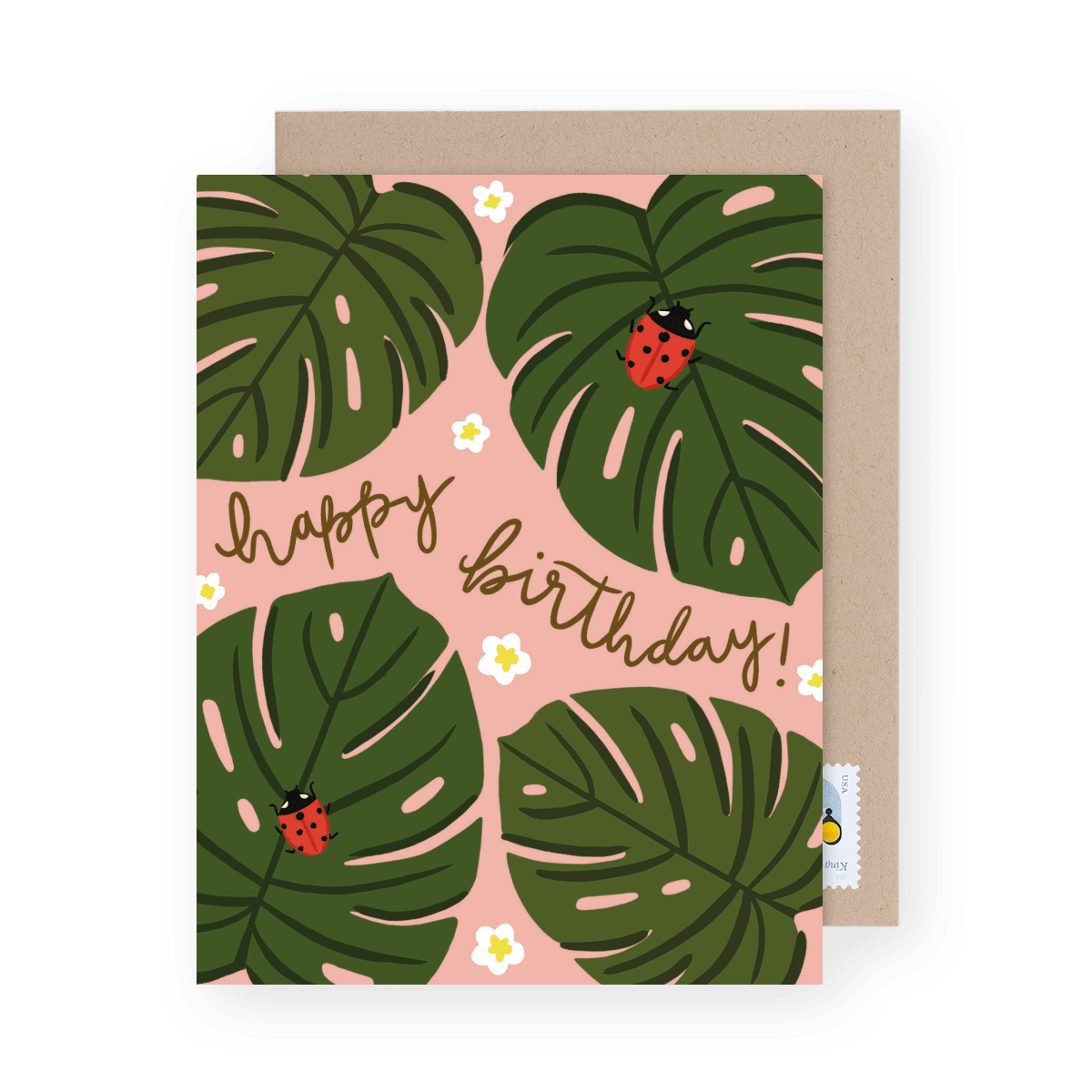 Monstera Birthday