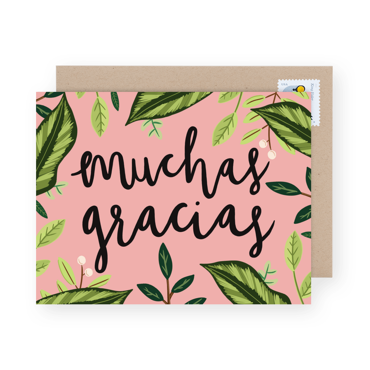 Muchas Gracias