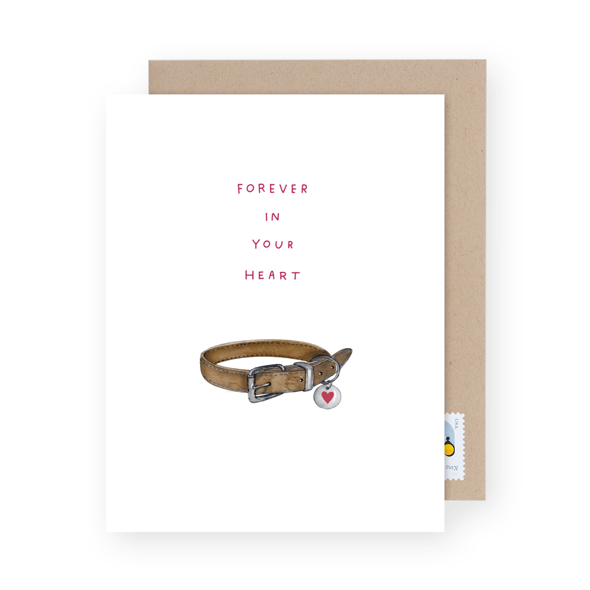 Pet Collar