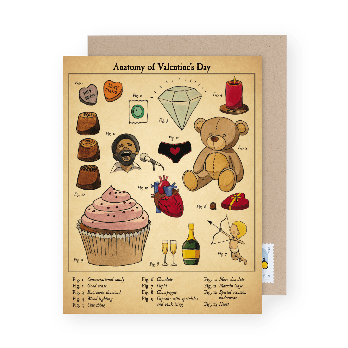 Valentine's Day Anatomy