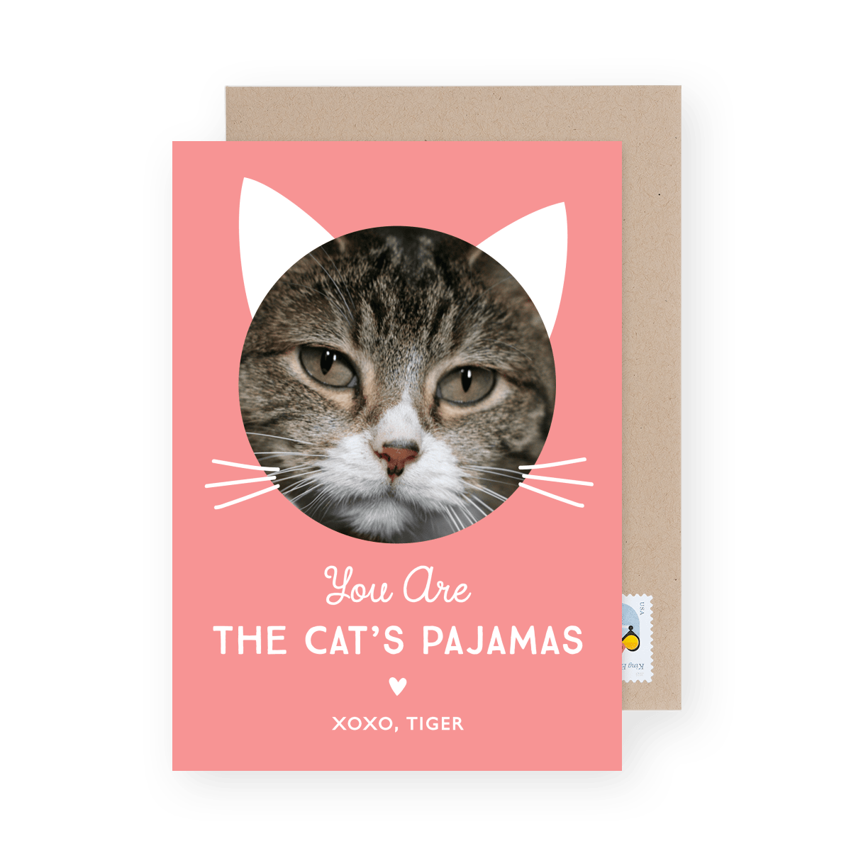 Cat's Pajamas