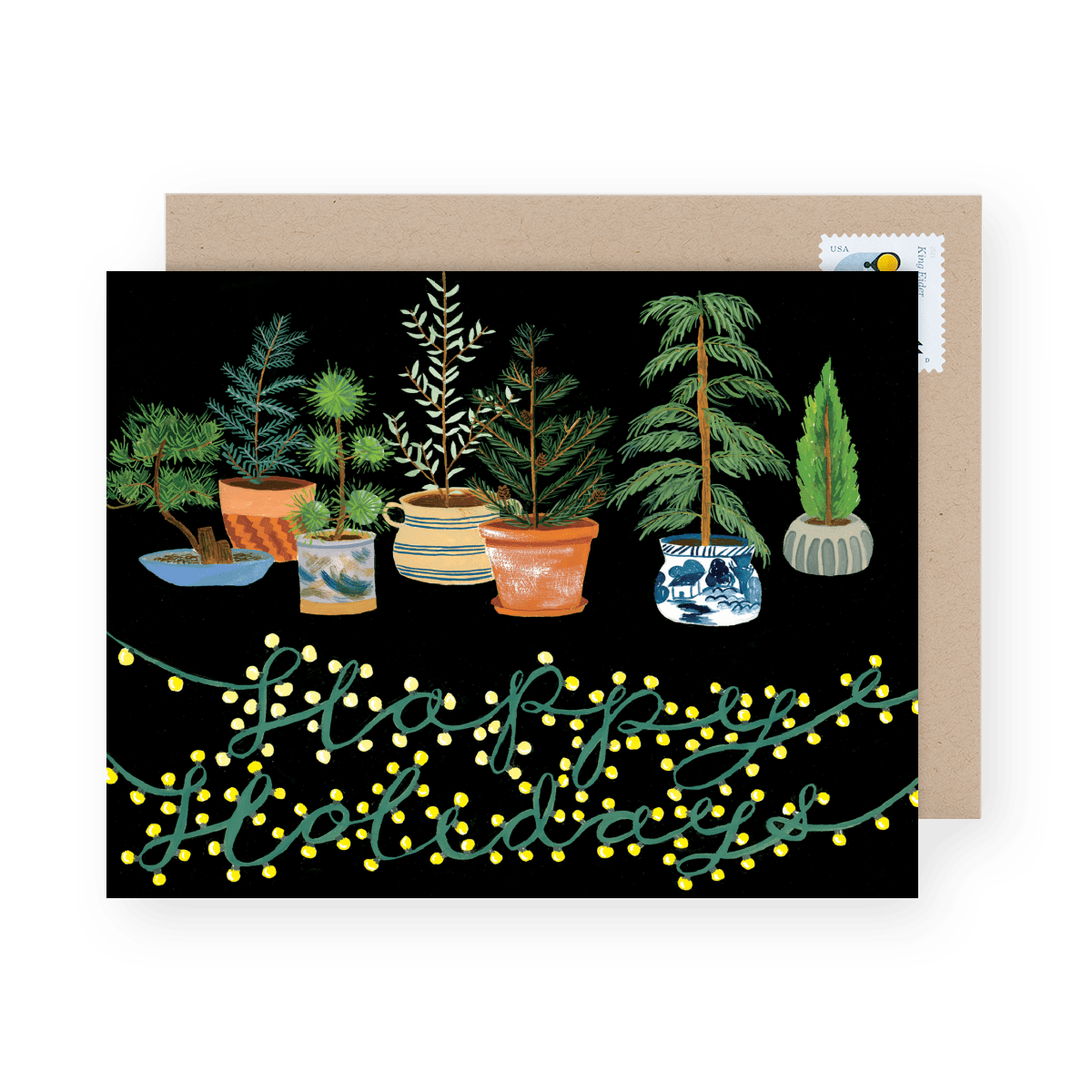 Potted Evergreens