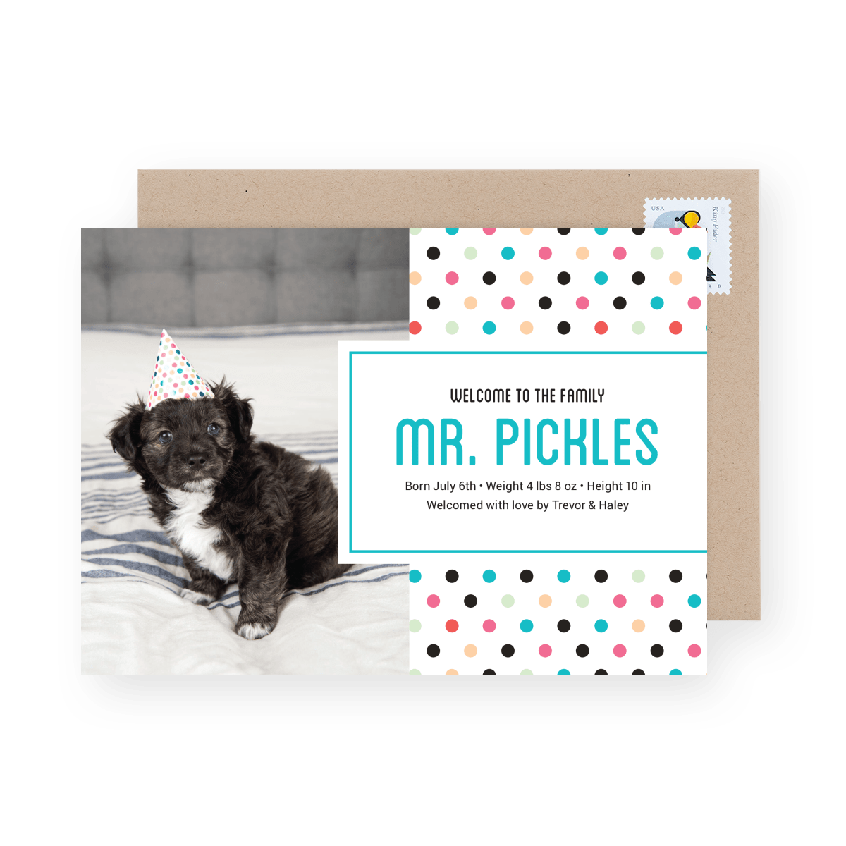 Polka Dot Pet Announcement