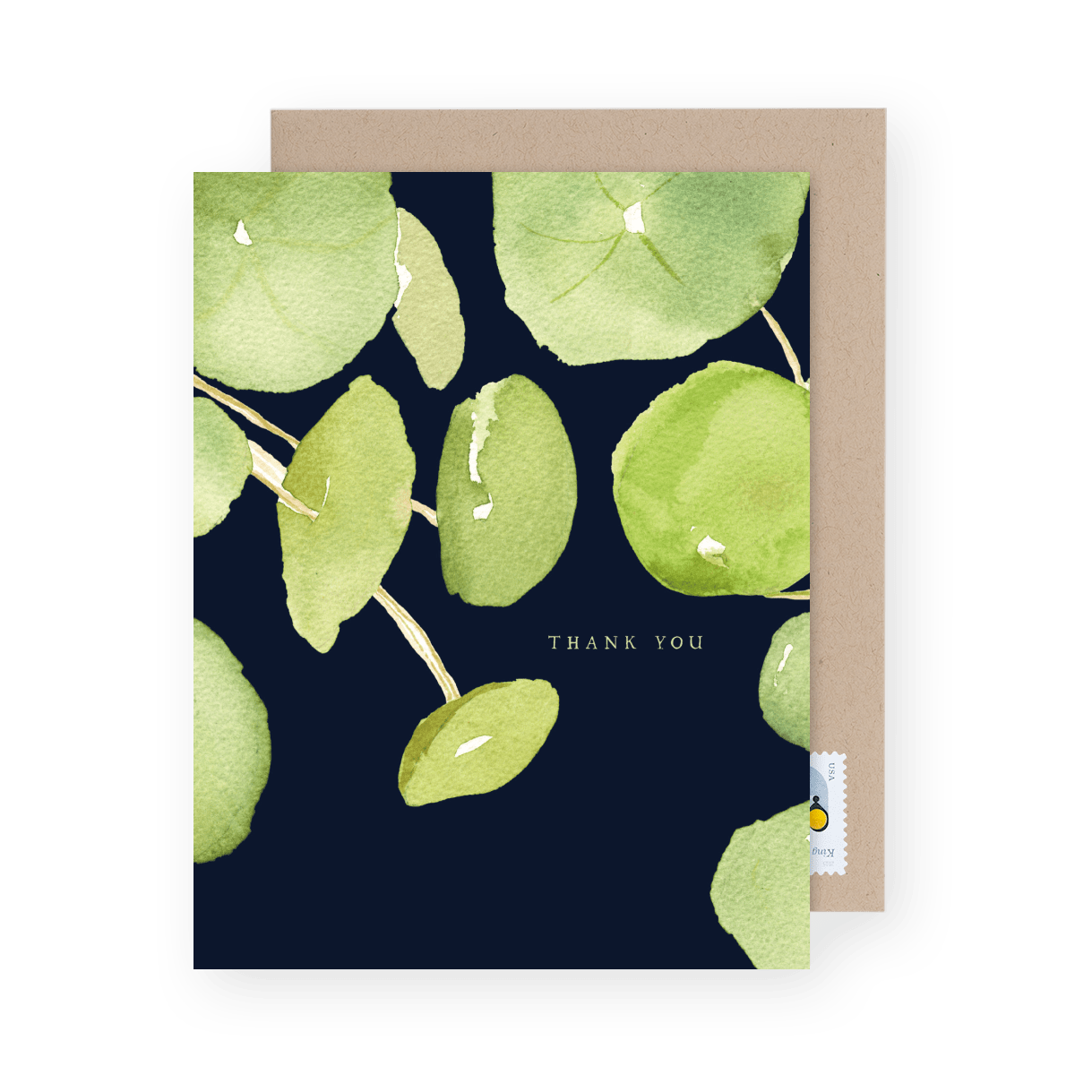 Lily Pad Thanks