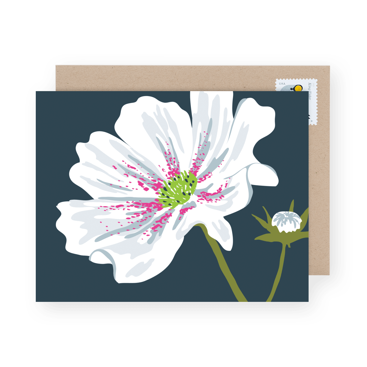 Cosmos Flower