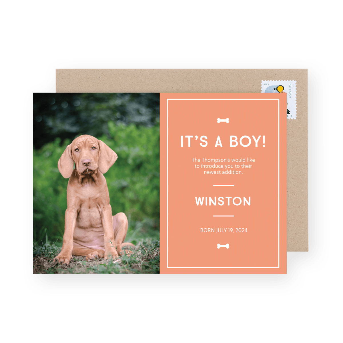 New Puppy Announcement