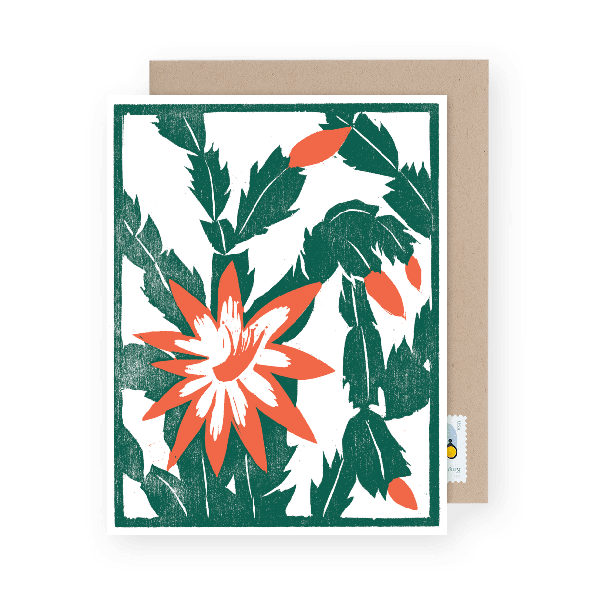 Christmas Cactus