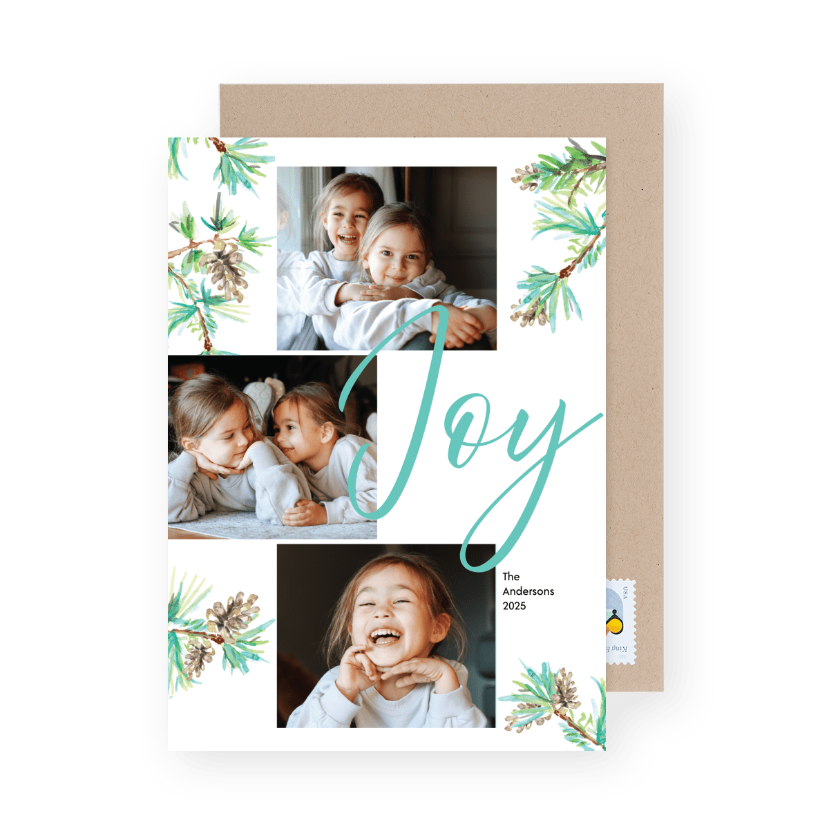 Branches And Pinecones