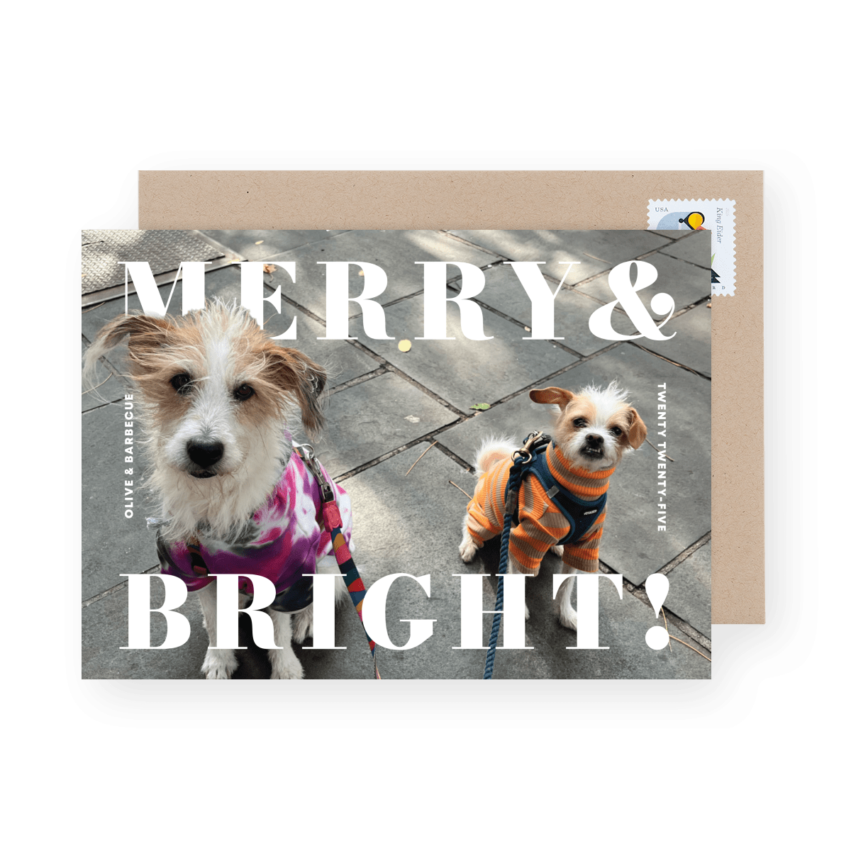 Merry & Bright Pop Out Pets